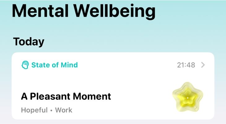 Screenshot of the State of Mind log in Apple's Health app.