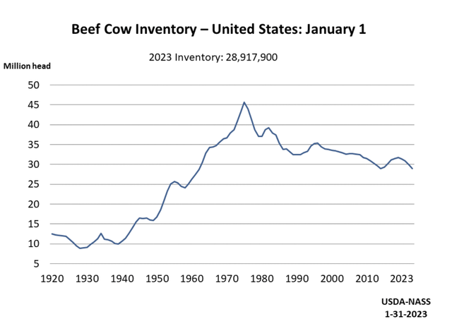 Beef Cow Herd