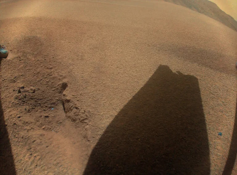 An image that NASA's Ingenuity Helicopter captured of the shadow of a rotor blade shows some damage that it has sustained.