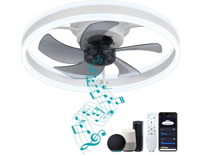 The DewShrimp Wi-Fi Ceiling Fan with its remote.