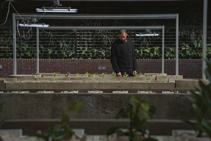 Izi looks at a row of plants in The Kitchen.