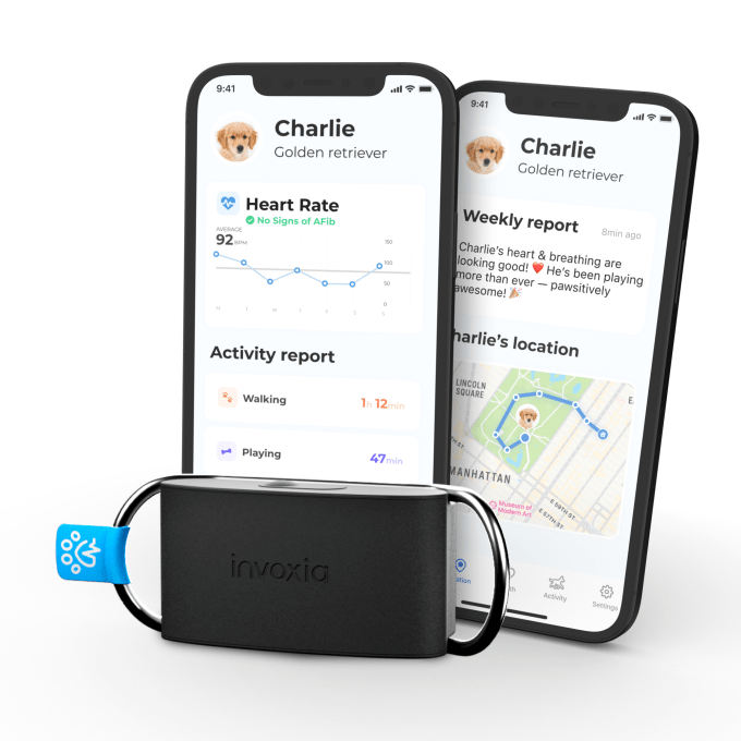 Invoxia's Minitailz device's companion app shows you health and activity data about your pet
