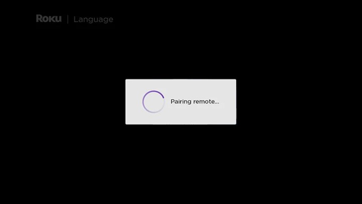 Roku Pairing Remote Screen.