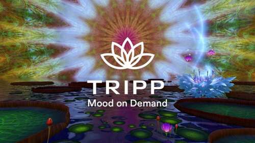 Tripp is a meditation app.