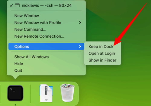 Right-click Terminal on the Dock, go to 'Options,' then click 'Keep in Dock.'