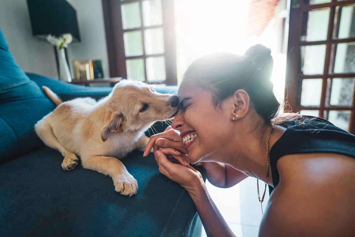 Close up, a young woman and a puppy are having fun cuddling