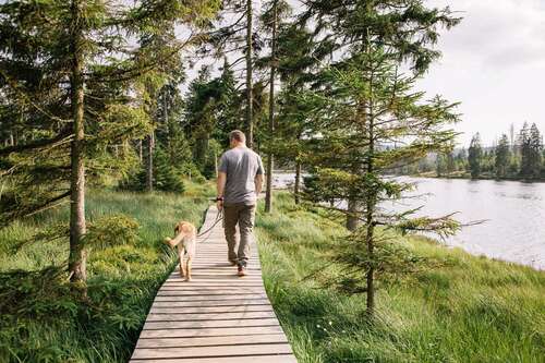 Person walking dog in nature