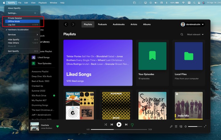 A screen from Spotify on how to put it in offline mode.