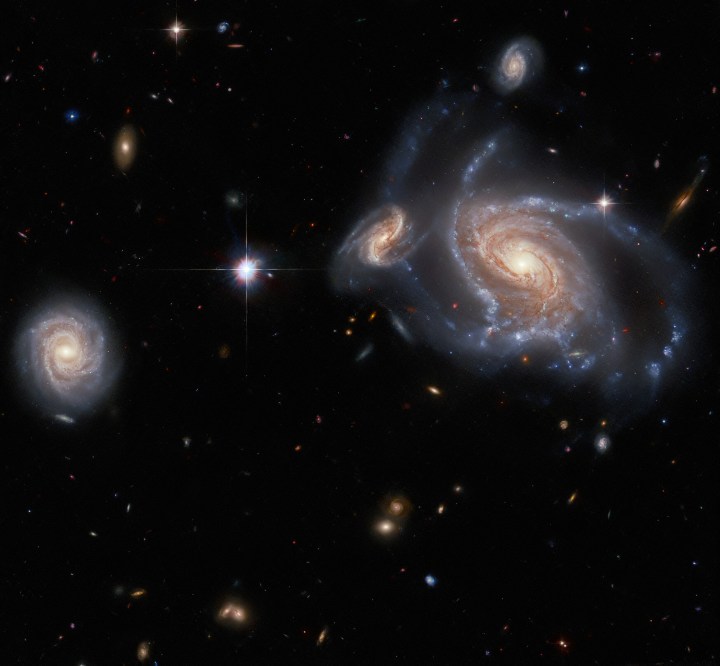 This image from the NASA/ESA Hubble Space Telescope features a richness of spiral galaxies.