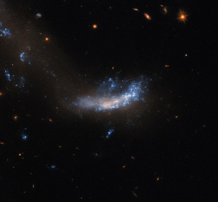 This NASA Hubble Space Telescope image is of the small galaxy known as UGC 5189A. 