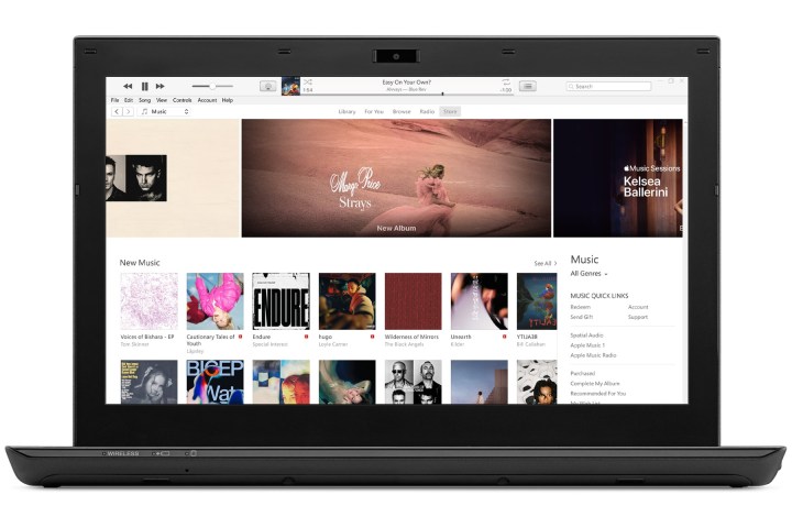 iTunes for Windows on a laptop computer.