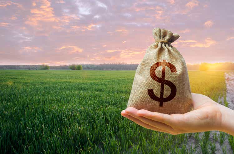 Green meadow field of young wheat and dollar money bag. World hunger. Grains cereals deficits. Starvation, famine. Agroindustry and the agricultural business. World food security crisis, high prices.