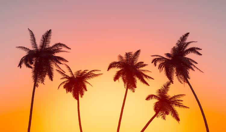 Silhouettes of tall palms under cloudless sundown sky