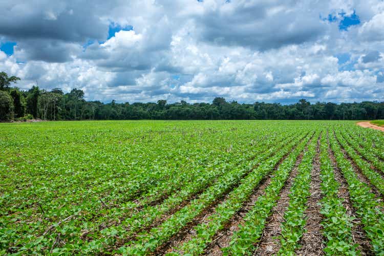 Hermosa vista de la agricultura agrícola de soja y los árboles de la selva amazónica en el fondo, Mato Grosso, Brasil. Concepto de medio ambiente, naturaleza, ecología, cambio climático, deforestación, soja, cultivo, alimentación.