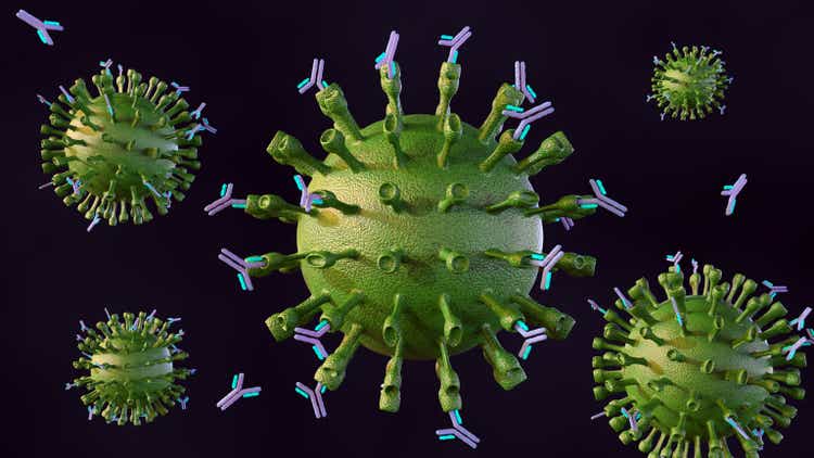 Antibodies binding to and neutralizing virions