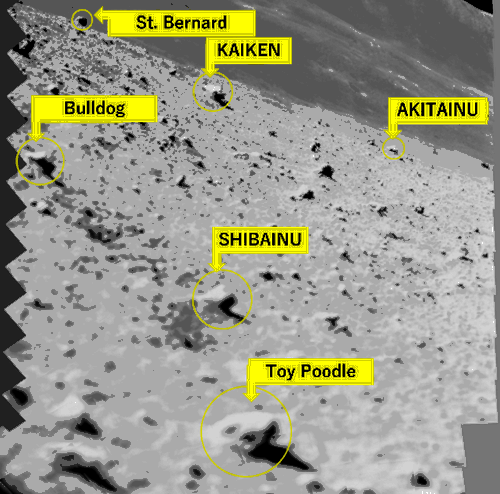 JAXA naming lunar rocks