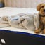 Dog in a fuzzy blanket sits on a bare Nectar mattress.