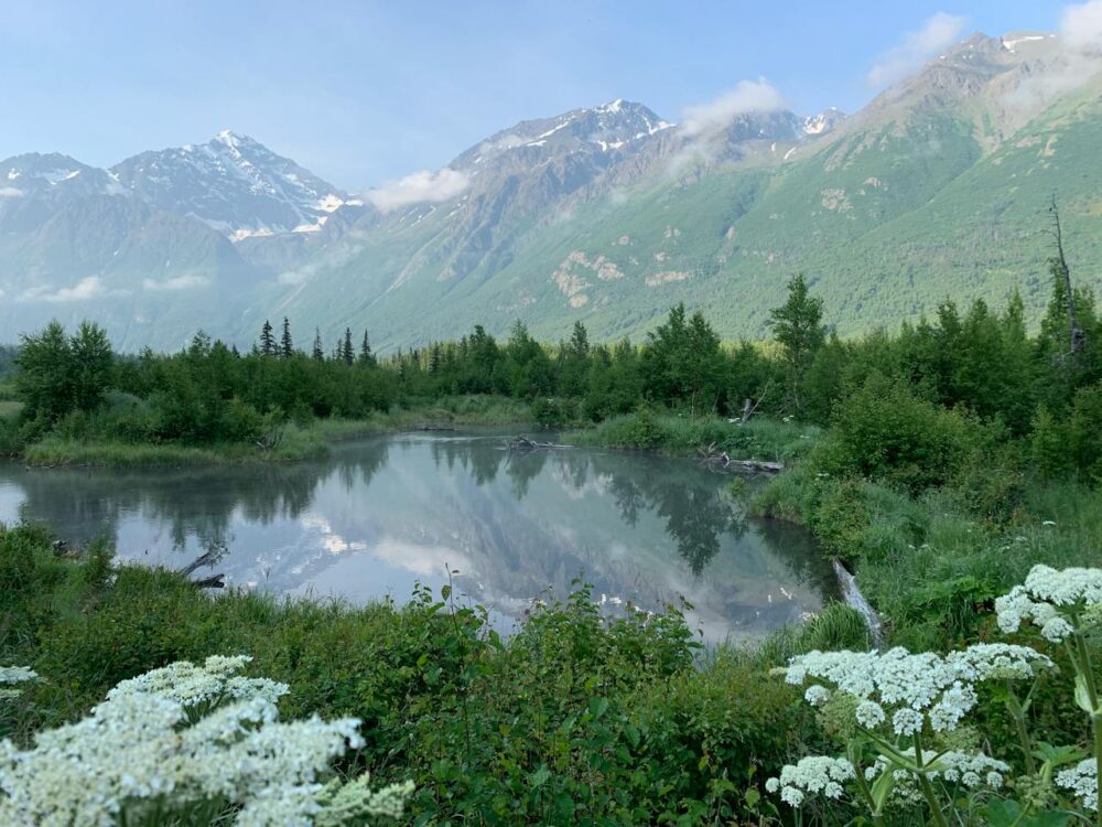 Alaskans display signs of financial illiteracy