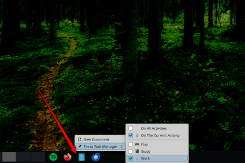 Pinning apps to taskbar of specific Activities