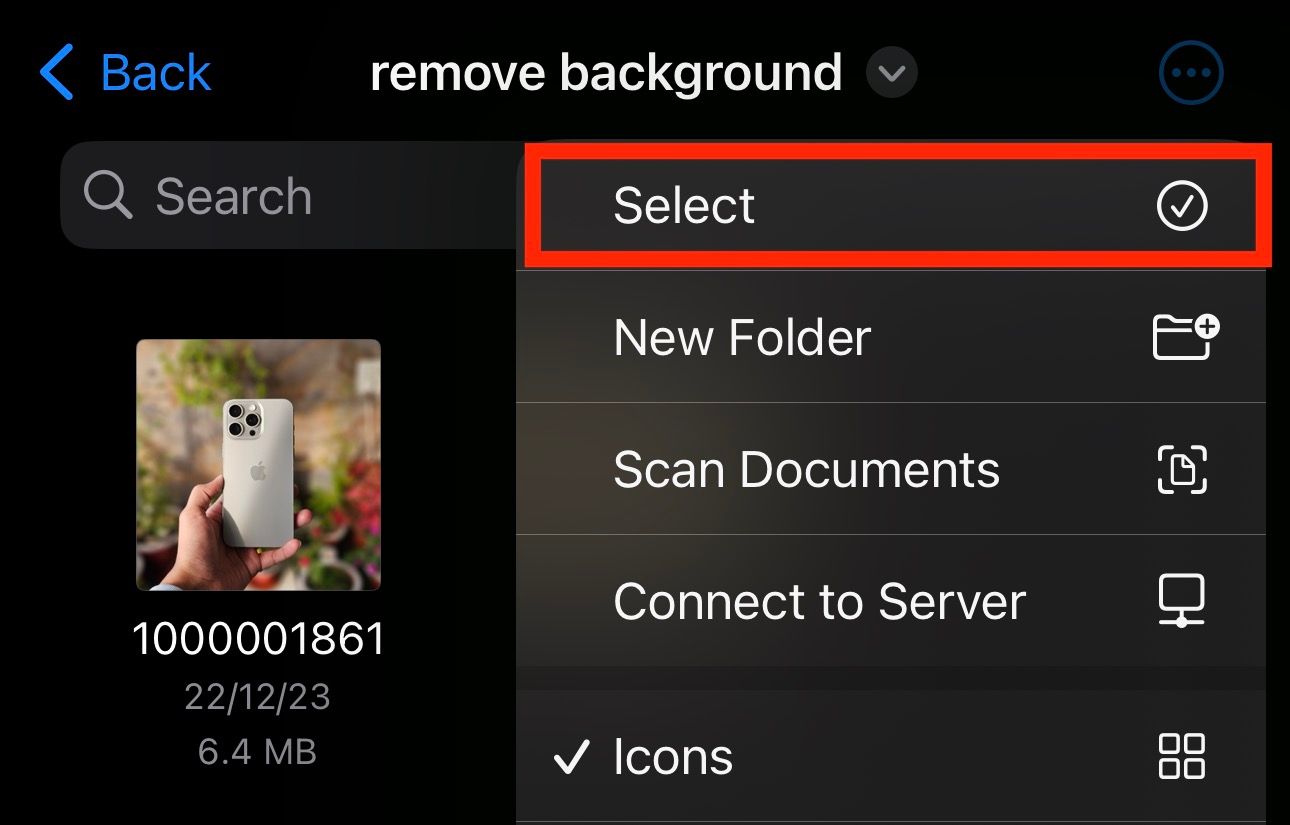 Select option in Files app to choose multiple images.