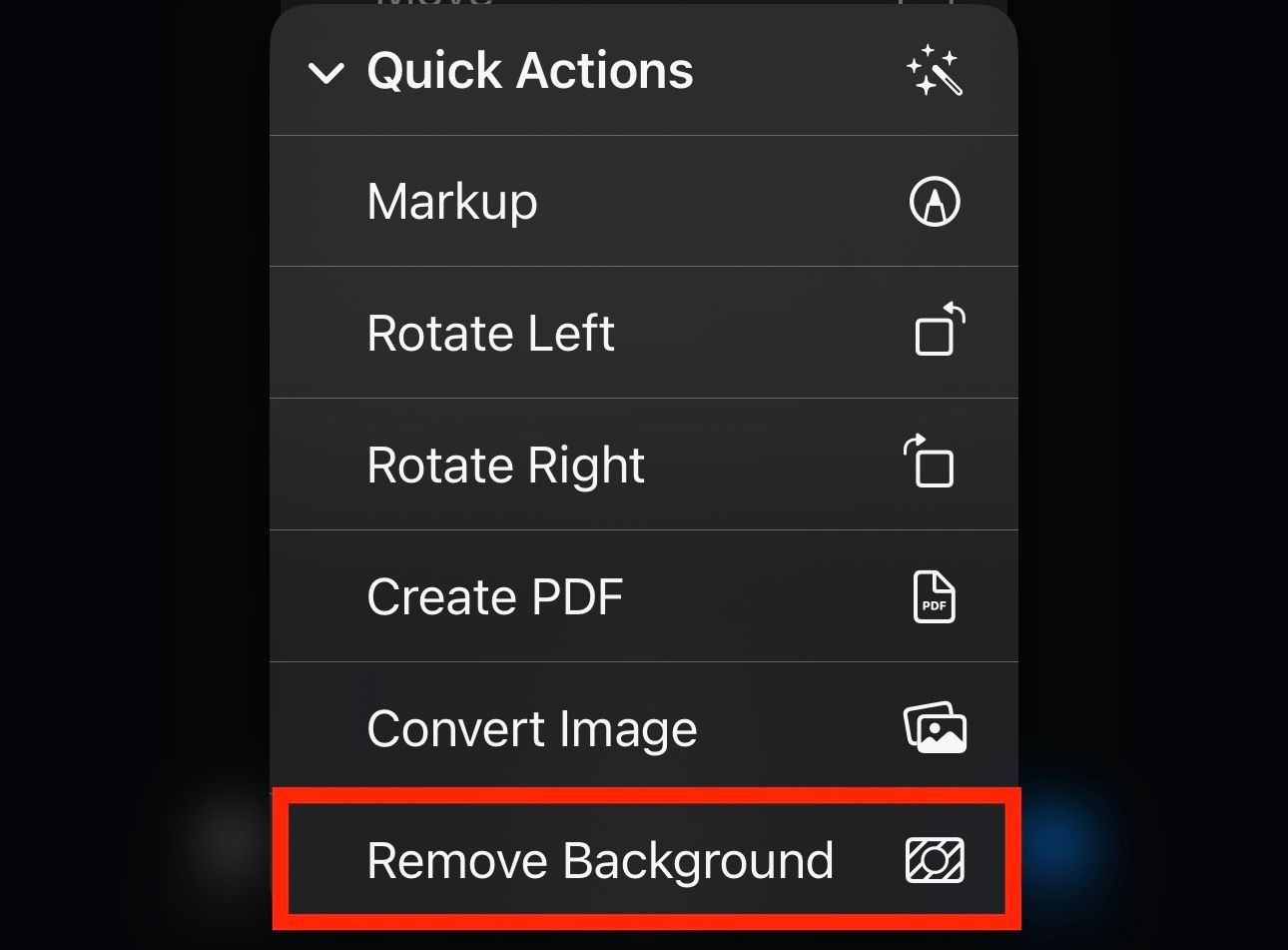 Using the Remove Background Quick Action on an image in iPhone's Files app.