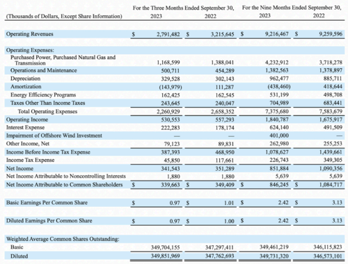 The company income statement