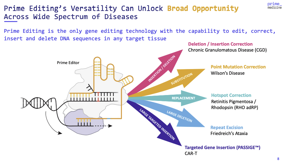 Prime editing diagram