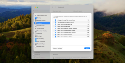 macOS keyboard shortcut settings.