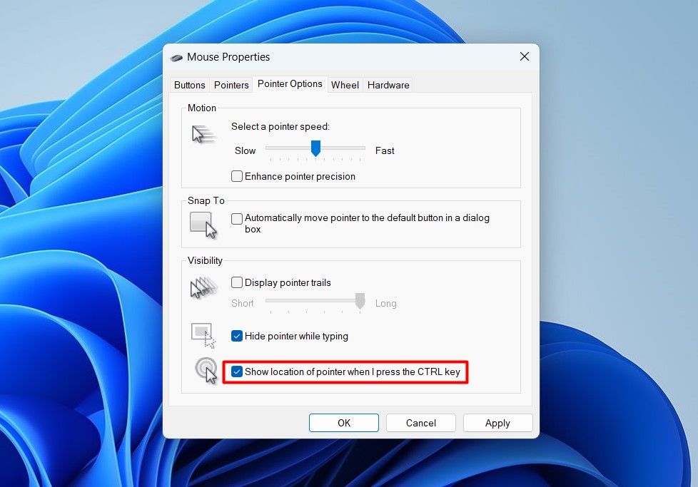 Show location of pointer when I press the CTRL key option in Mouse Settings