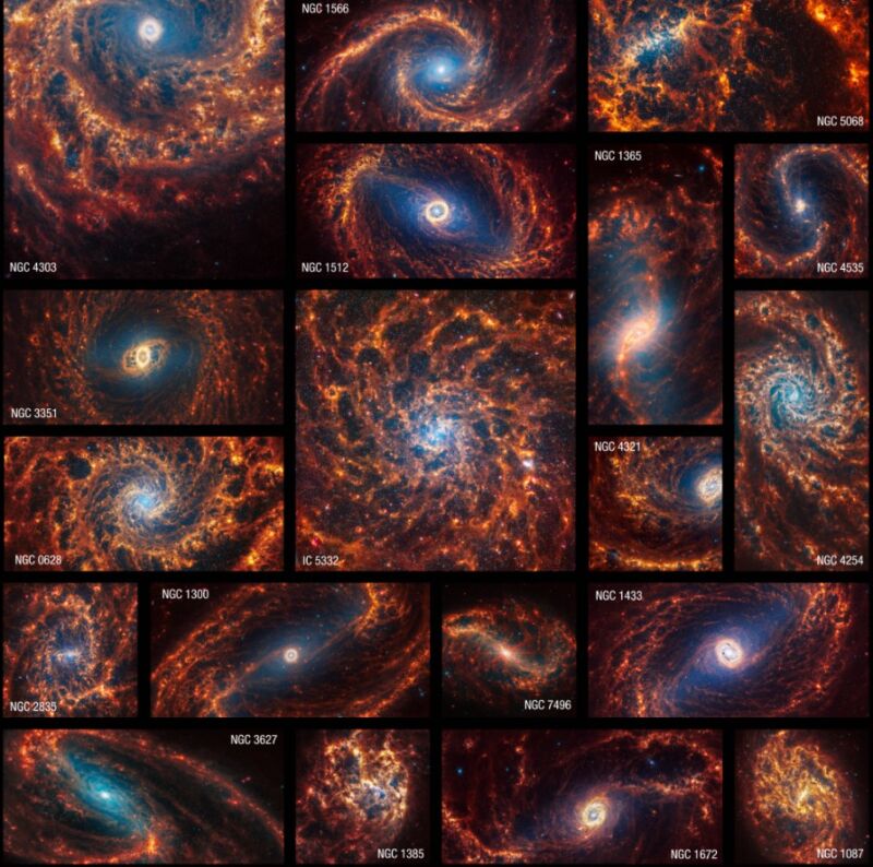 Nineteen galaxies observed head-on by the James Webb Space Telescope. 