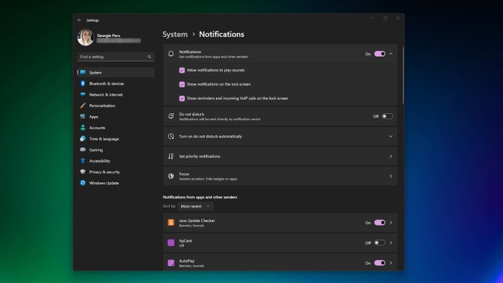 The notifications settings in Windows 11.