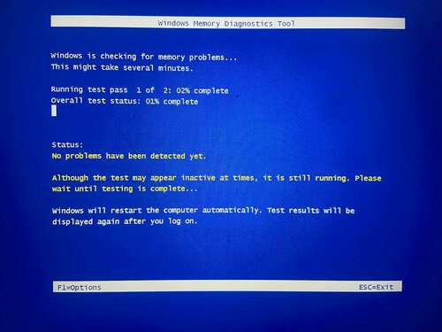 The Windows Memory Diagnostic Tool running checks