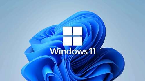 Windows 11