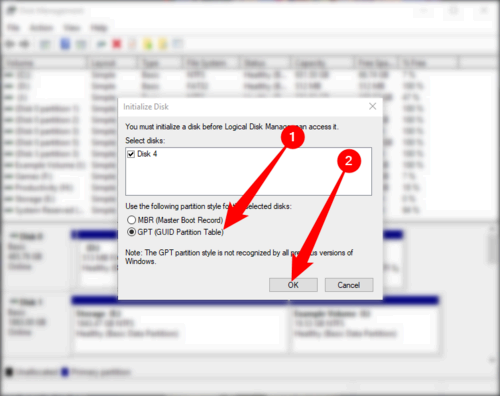 Select 'GPT (GUID Partition Table),' then click 'OK.'