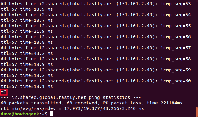 Ctrl+C stopping the ping command in a terminal window