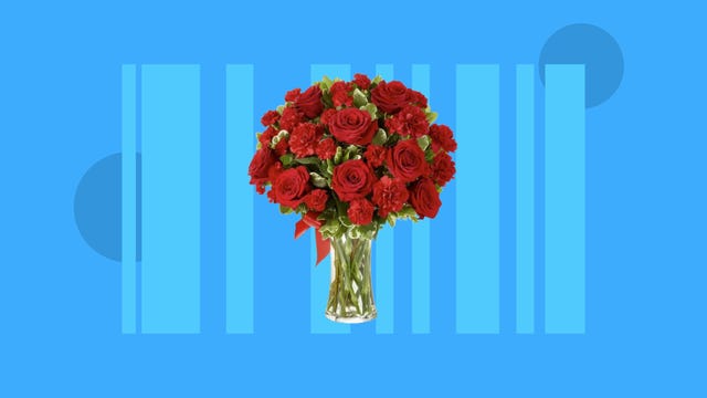 A bouquet of red flowers in a vase are displayed against a blue background.