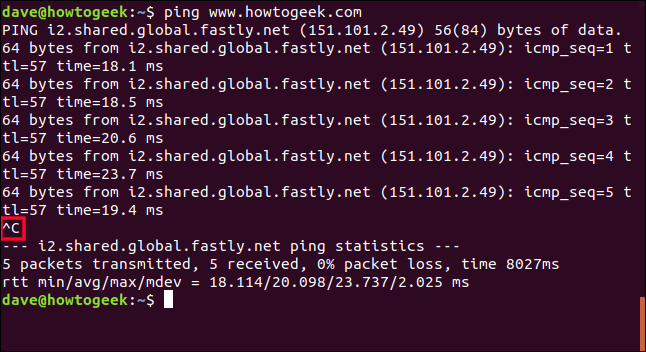 ping trace output in a terminal window