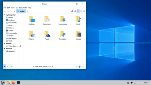 Cinnamon desktop environment with Windows 10 theme applied.