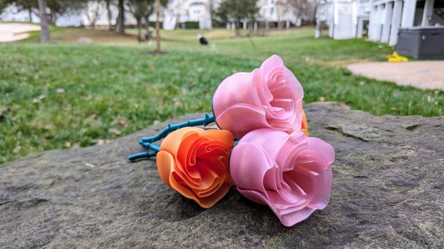 Pink and orange printed roses on rock in the garden