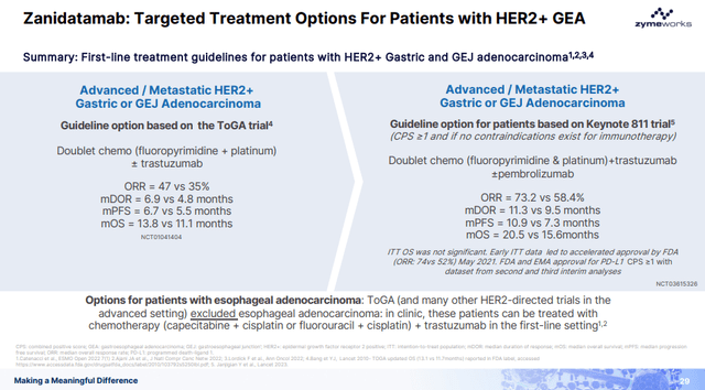 Treatment options for patients with HER2+ GEA