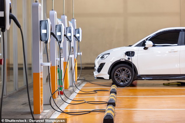 Sales of electric vehicles plummeted by 25 per cent last month, when compared with January 2023