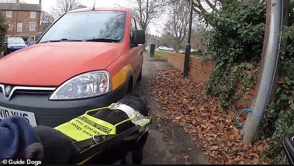 Maeve is specially trained to stop if she does not believe Julie's chair can fit passed a car parked on the pavement