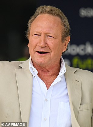 Mothballing operations: Iron ore billionaire Andrew Forrest