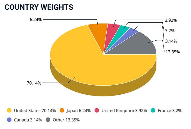 The UK only makes up less than 4 per cent of the global stock market, so most investors are more exposed to the US's economic fortunes