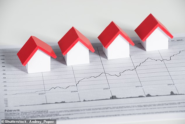 Fuel to the fire: Government interventions such as these often appear to increase house prices further