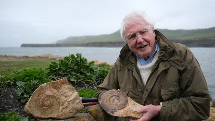 David Attenborough in Attenborough and the Jurassic Sea Monster.