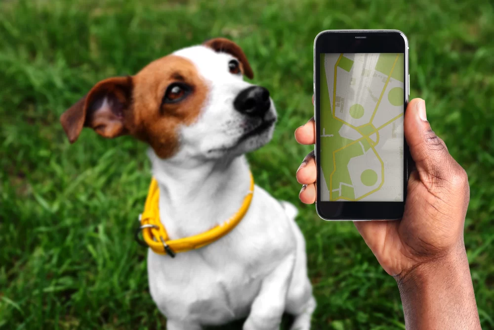 GPS Pet Tracker