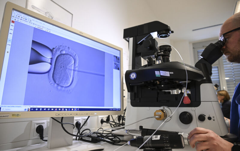 January 17, 2024, Berlin: In the cell laboratory at the Fertility Center Berlin, an electron microscope is used to fertilize an egg cell.