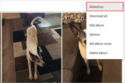 Slideshow in the More Options menu in Google Photos.