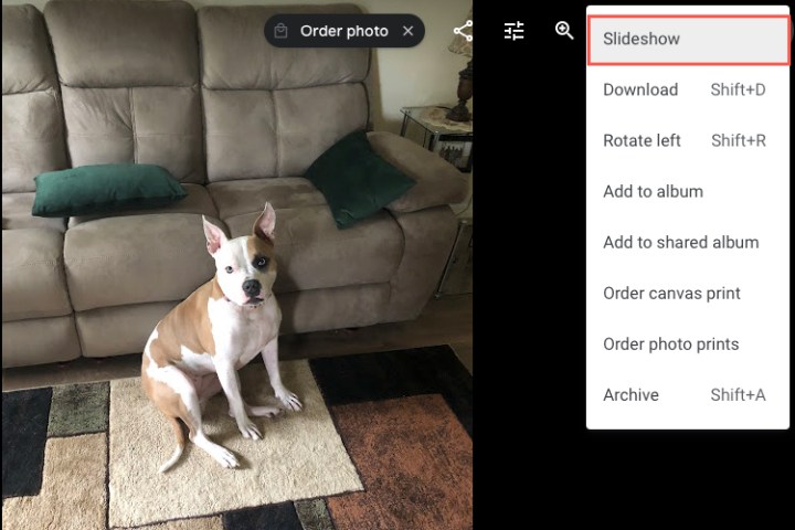 Slideshow in the More Options menu in Google Photos.